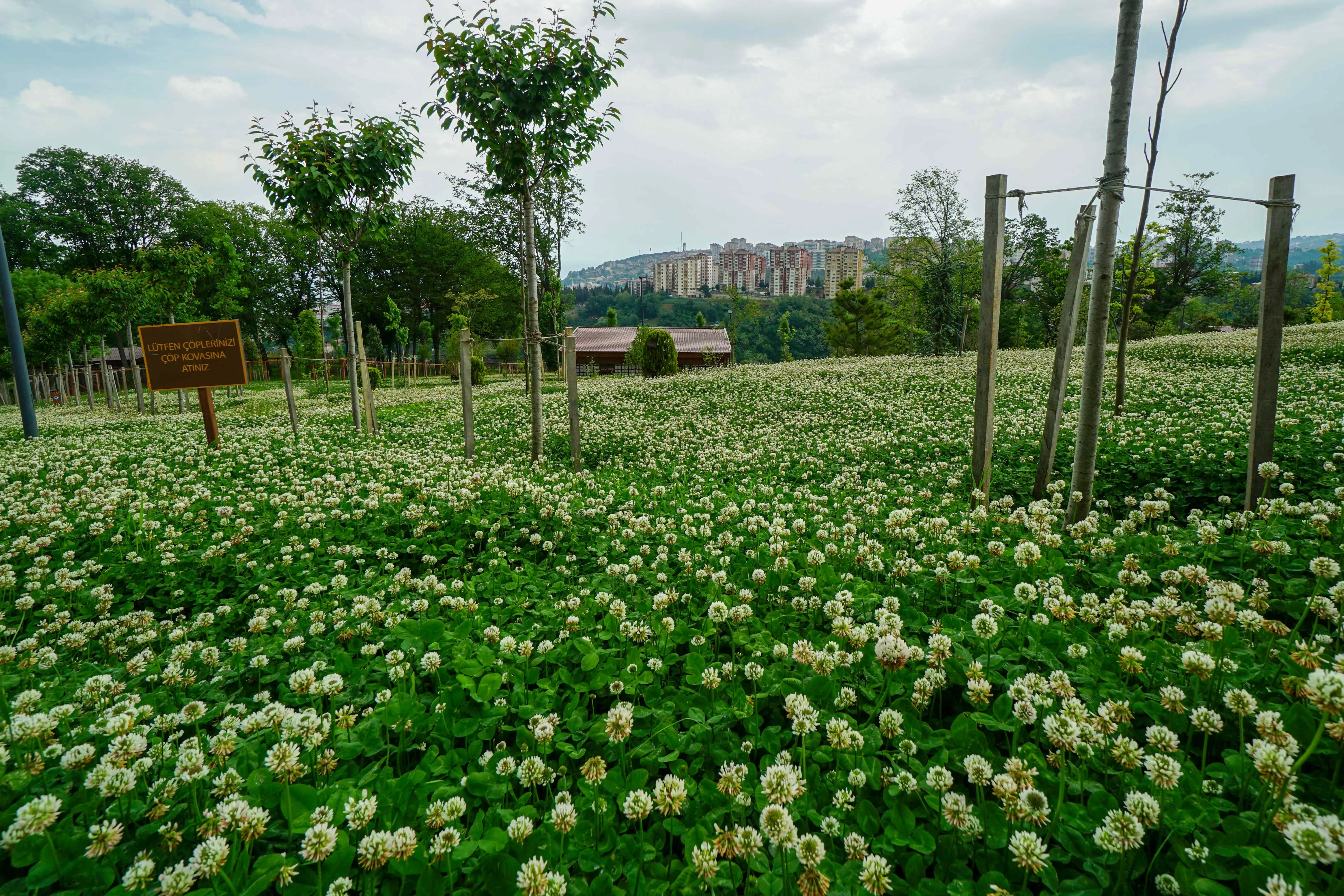 Botanik parki (12)